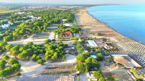 Sunny Beach Apartments - 207